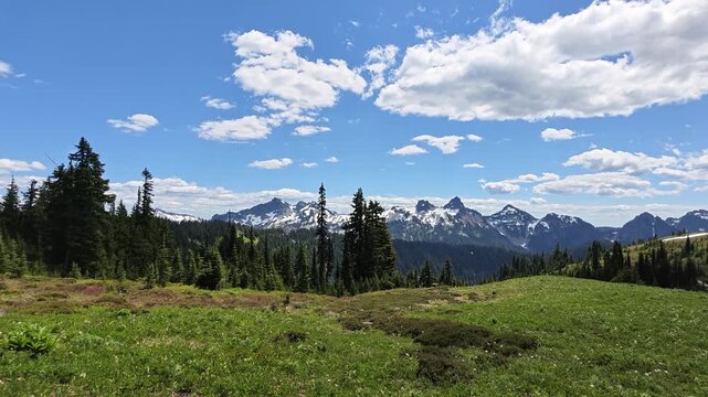 Panoramic view of snow-capped mountains and green meadow in Washington state