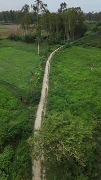 Aerial view of a person leading a horse along a dirt path through lush green countryside with