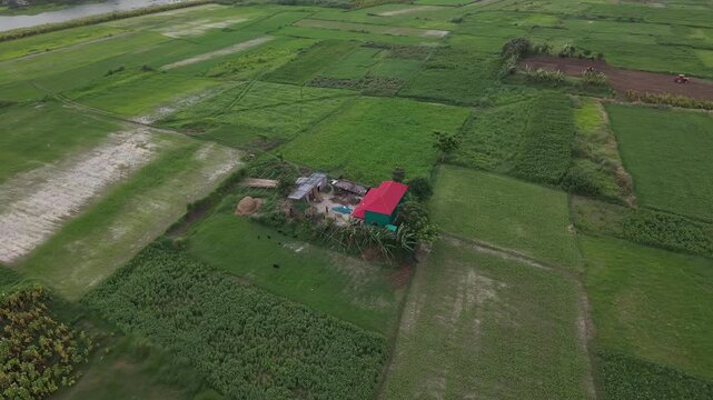 Lush green agricultural fields aerial view rural landscape with a red roof house and distant