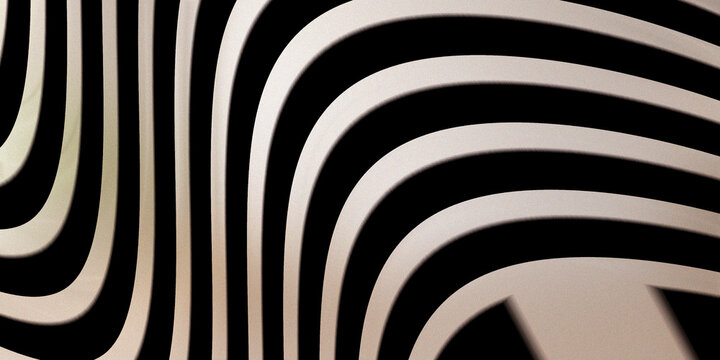 Zebra pattern style abstract waves in black and white light tones.