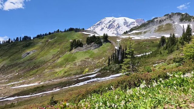 Snowy Mountain Peak with Wildflowers and Green Slopes in Washington