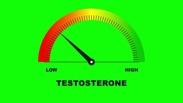 Emerald Green Screen Testosterone Gauge Motion Showing Increasing Hormone Levels Animation