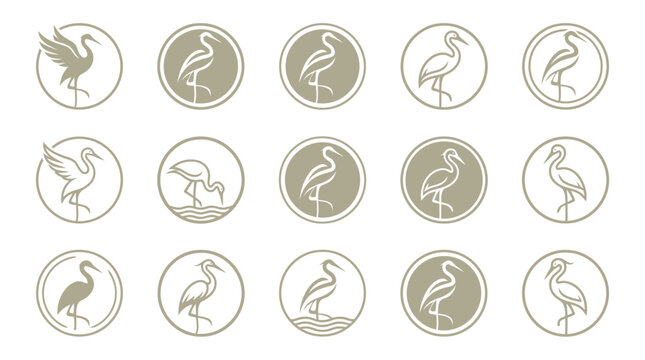Flamingo icons in circles.