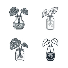 Houseplant Propagation Icons: Monstera & Philodendron in Water © anap