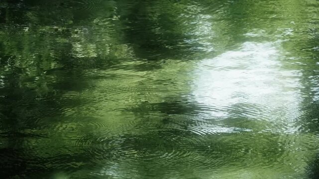波紋を拡げて静かに揺れる穏やかな川の流れと表面に夏の自然の緑を反射する水面の揺らぎ　水資源・夏休み・アウトドア　日本の涼しい風景　