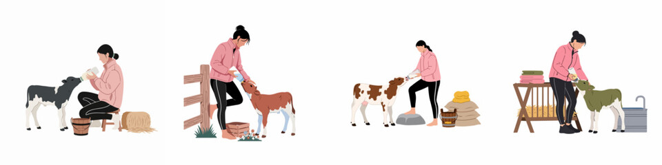 Flat illustration set of a young woman bottle-feeding various calves on a farm with hay and buckets on a white background.