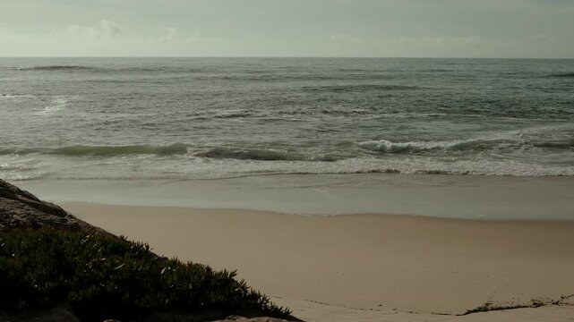 Gentle Waves Rolling Onto the Sandy Beach at Ovar in Portugal with Dune Plants in Foreground