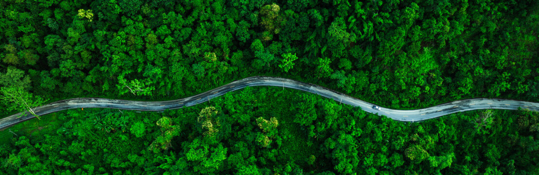 Aerial Tropical Forest Road for Sustainability Report and Green Infrastructure