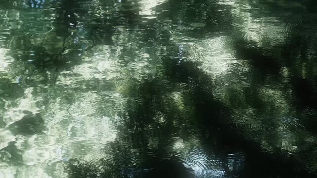 波紋を拡げて静かに揺れる穏やかな川の流れと表面に夏の自然の緑を反射する水面の揺らぎ　水資源・夏休み・アウトドア　日本の涼しい風景　
