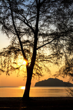 Sunrise and silhouette in morning