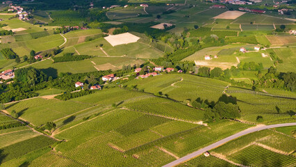 Obraz premium Aerial View of Rolling Green Vineyards and Rural Village in Piedmont Italy