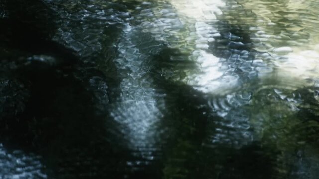 波紋を拡げて静かに揺れる穏やかな川の流れと表面に夏の自然の緑を反射する水面の揺らぎ　水資源・夏休み・アウトドア　日本の涼しい風景　