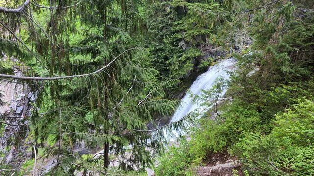 Waterfall cascading through dense evergreen forest in Washington state