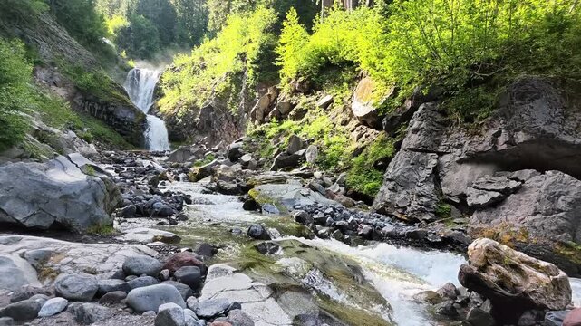 Flowing Mountain Stream and Waterfall in Washington Forest
