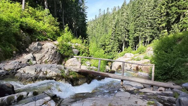 Rustic wooden footbridge over rushing mountain stream in Washington forest