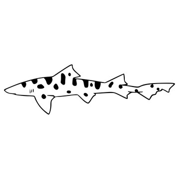 simple line art of a swimming leopard shark