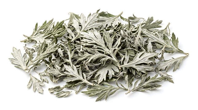 Premium Dried Mugwort Leaves, Organic Artemisia Argyi Chinese Herbal Medicine