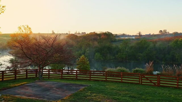 Morning fog