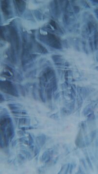 Vertical video. Smoke flow defocused. Paint drip. Blue color liquid trickles swirl in abstract background. Haze pigment art blending in cloud water.