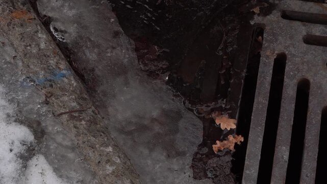 Melting snow drips into storm drain close-up with brown leaves and ice on cold winter day.