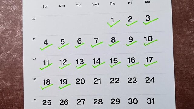 Hand putting green checkmark on calendar date 19. Goal achievement, success and task completion concept