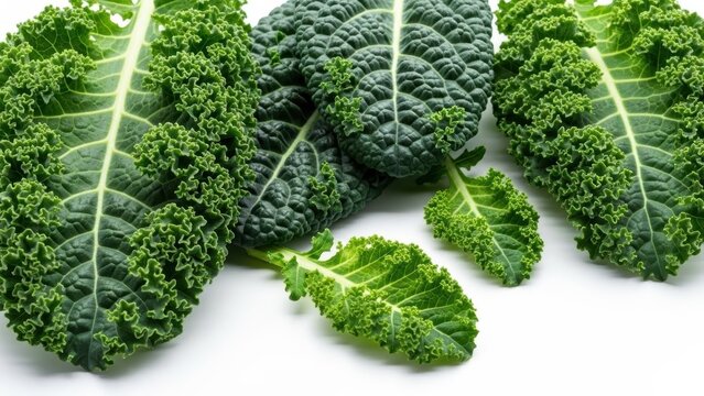 Fresh Curly Kale Leaves on White Background Healthy Food