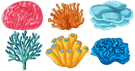 Collection of Colorful Coral Reef Species Vector Illustration Set © GraphicsRF