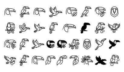 Fototapeta premium Toucanet Silhouette and Tropical Bird Vector Icon Collection