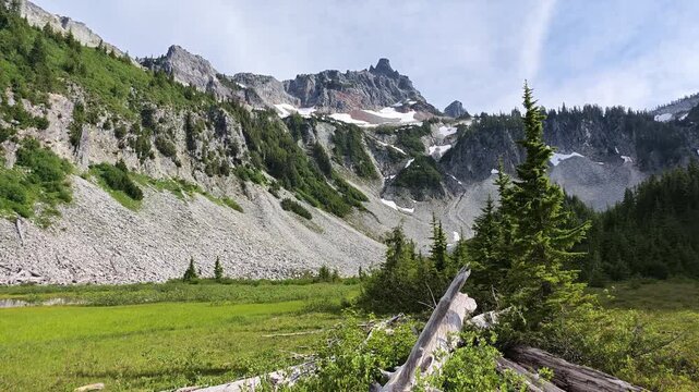 Mountain landscape with green meadow and snow patches in Washington state
