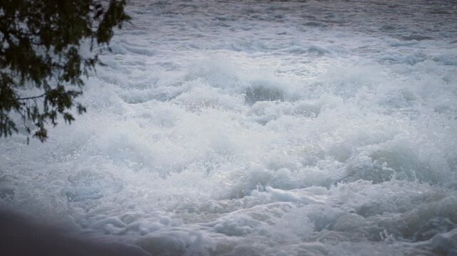Spring meltwater rushes downstream at Sauble Falls, Ontario. High speed framing captures the rapid movement of foam and the contrast of green pine needles framing the white rapids.