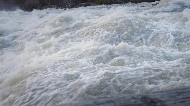 Rapidly flowing river currents create complex swirling patterns of thick white foam at Sauble Falls.