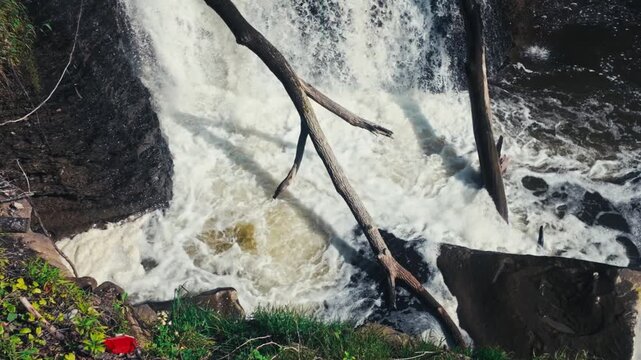 The bottom of a waterfall, with wake spreading in all directions. Large fallen trees emerge from the foamy water.