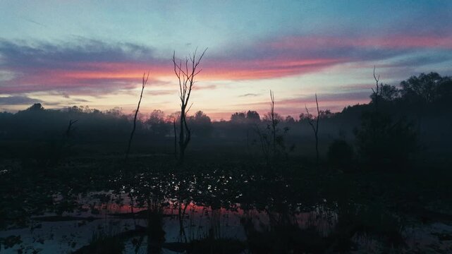 A peaceful panning view of a foggy marsh at sunset reflecting a colorful sky.