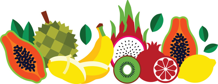 Tropical fruits vector horizontal banner design with papaya durian banana dragonfruit kiwi pomegranate lemon and green leaves
