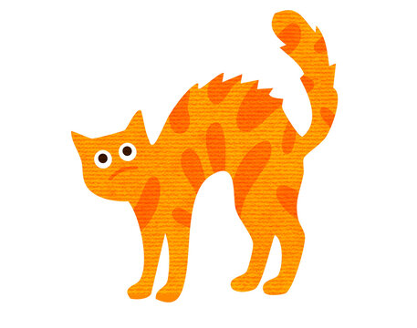 scared orange tabby cat arching back on white background