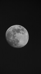Fototapeta premium This image features a stunning close-up shot of the moon in its gibbous phase, nearing a full moon. The entire sunlit surface of the moon beams brilliantly against a pitch-black, starless night sky. 
