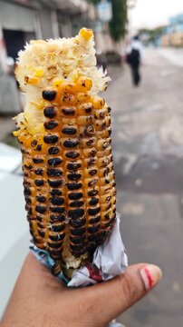 Point of view shot of a person's hand holding a partially eaten, fire-roasted corn on the cob (bhutta) standing on a wet street in India.
