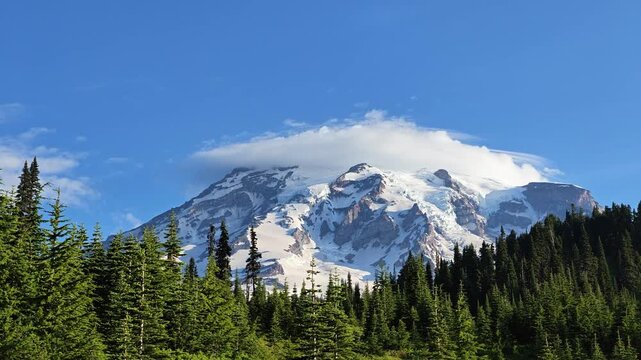 Mount Rainier snowcapped peak with pine forest foreground