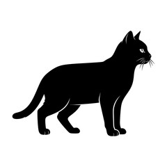 Black cat silhouette, feline icon, animal vector, pet illustration silhouette © MD. SAIFUL