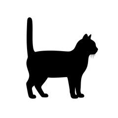 Black cat silhouette, feline icon, animal shape, pet design silhouette © MD. SAIFUL
