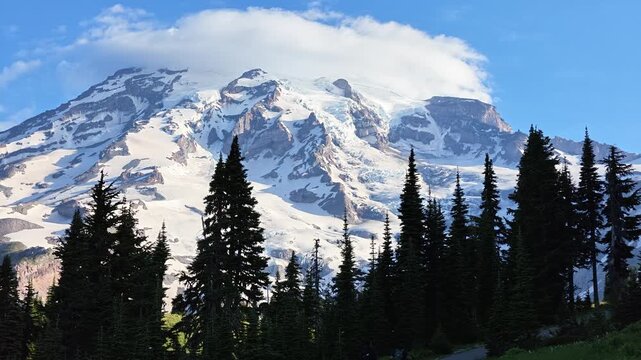 Snowy Mount Rainier peak with evergreen trees in Washington