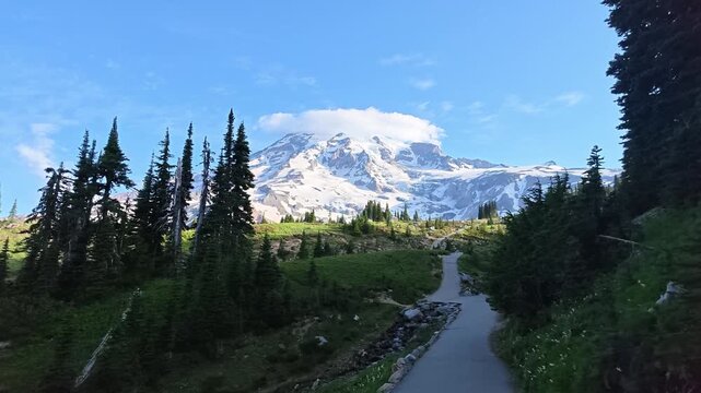 Paved Trail Leading to Snowy Mount Rainier Peak