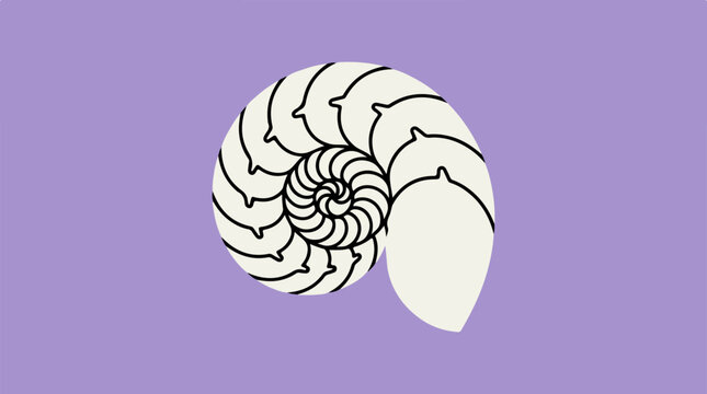 Nautilus Shell Fibonacci Spiral Golden Ratio Minimalist Design.