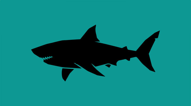 Silhouette of a great white shark swimming in the ocean.