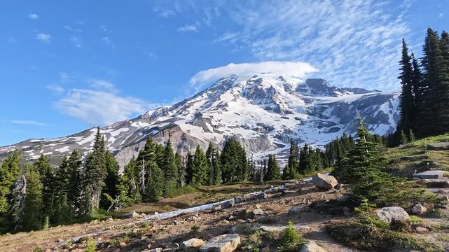 Panoramic view of Mount Rainier snow-capped peak and evergreen forest