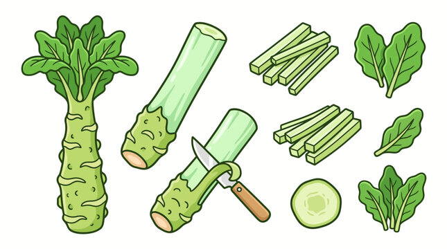 Celtuce Stem Lettuce Cartoon Vector Set Isolated on White Background