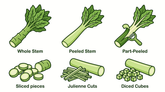 Celtuce stem cartoon vector set, green asparagus lettuce with whole stem, peeled, sliced pieces, julienne cuts, and diced cubes isolated on white background