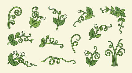 Fototapeta premium Decorative green vine and tendril illustration set with leaves and flowers