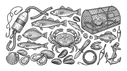Seafood Collection: Fish, Crab, Lobster Pot, Anchor, Buoy, Rope, Shellfish Sketch © hejue