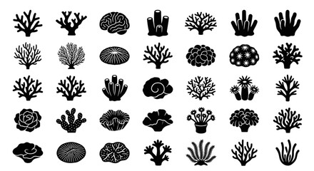 Collection of underwater coral reef silhouettes and marine icons © Monochrome studio